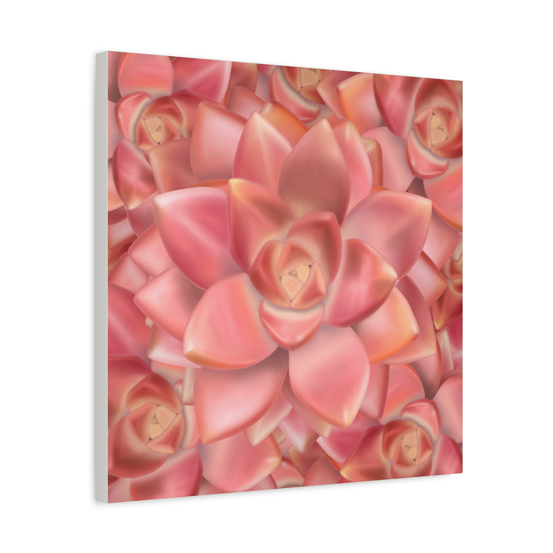 Graptosedum California Sunset Succulent Canvas Print – Botanical Wall Art - The Potted Pixel