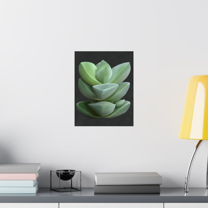 Crassula Botanical Print – Unframed Wall Art
