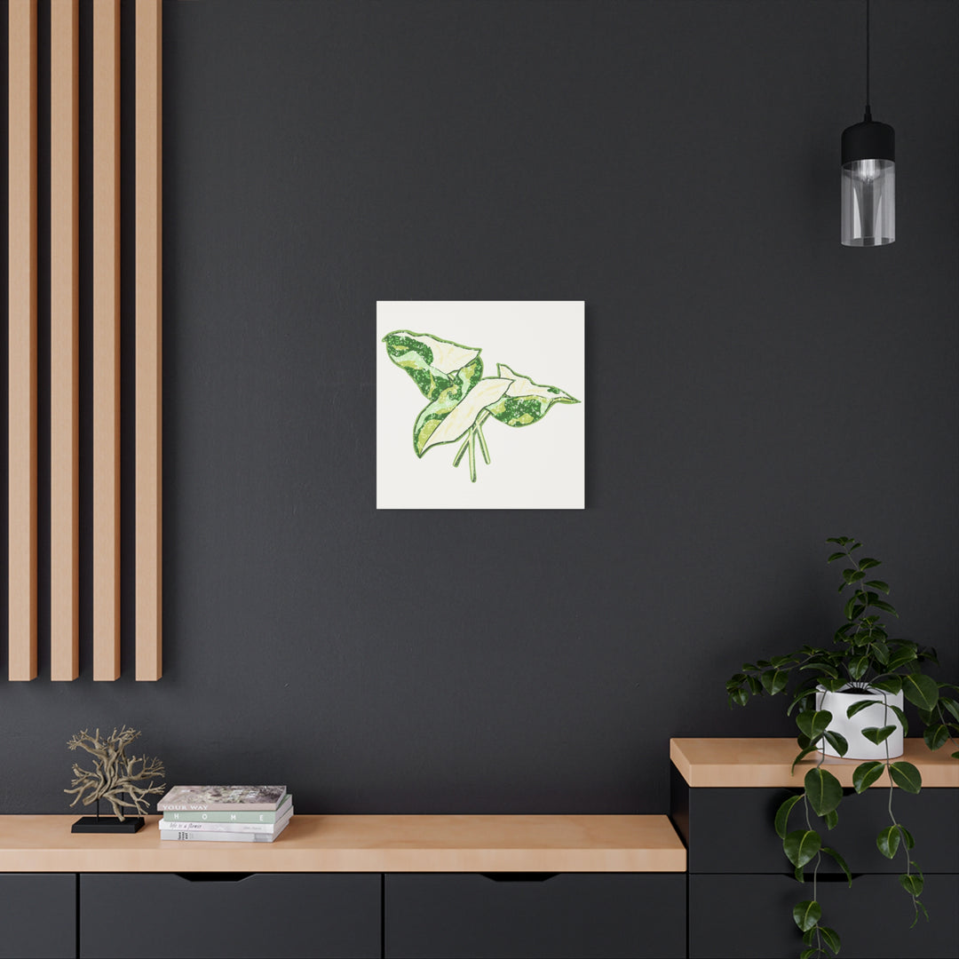 Marble Syngonium Canvas Botanical Wall Art Stretched Print On Durable Cotton Canvas Matte Finish