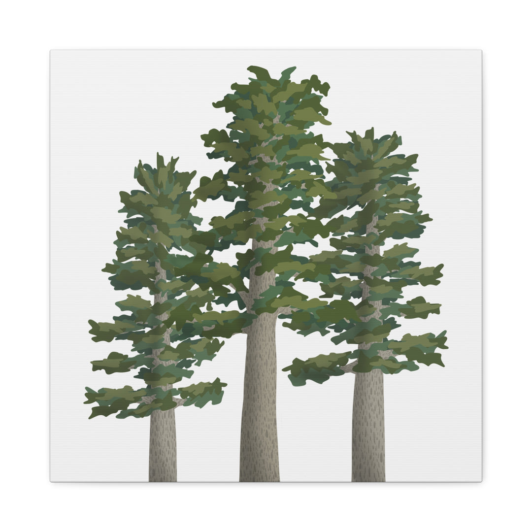 Sitka Spruce Canvas Print – Wall Art