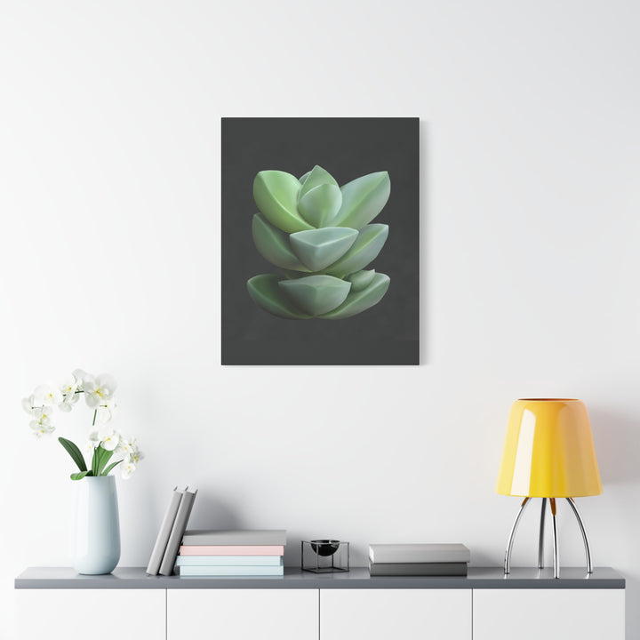 Crassula Canvas Print – Botanical Wall Art