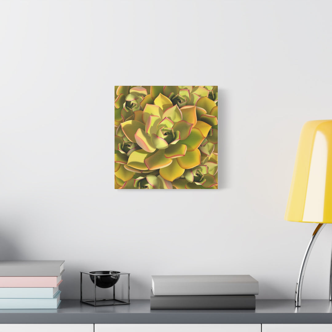 Succulent Canvas Art Vibrant Aeonium Print On Matte Canvas Wall Decor 12x18 Inches Indoor Home