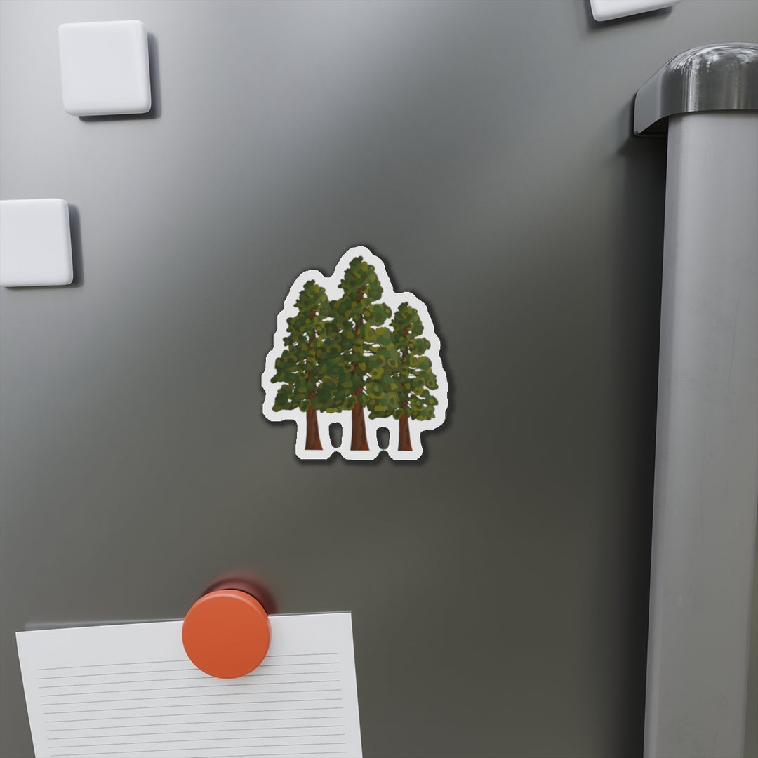 Coast Redwoods Magnet