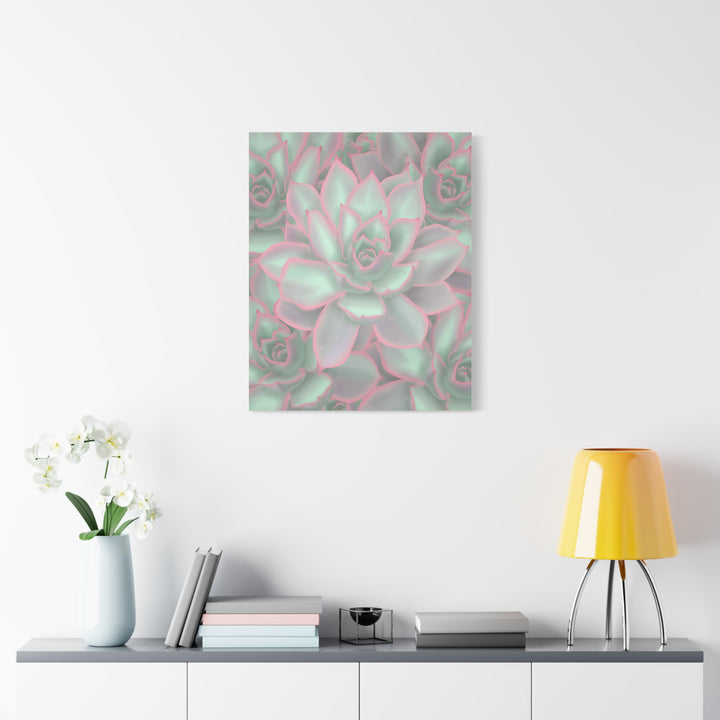 Echeveria Violet Queen Canvas Wall Art Succulent Print Matte Botanical Decor For Indoor Spaces