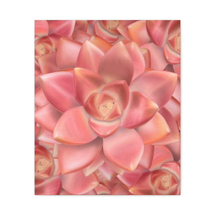 Graptosedum California Sunset Succulent Canvas Print – Botanical Wall Art - The Potted Pixel