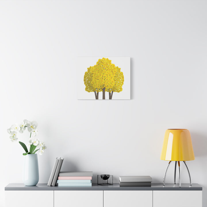 Big Leaf Maple Canvas Print – Wall Art