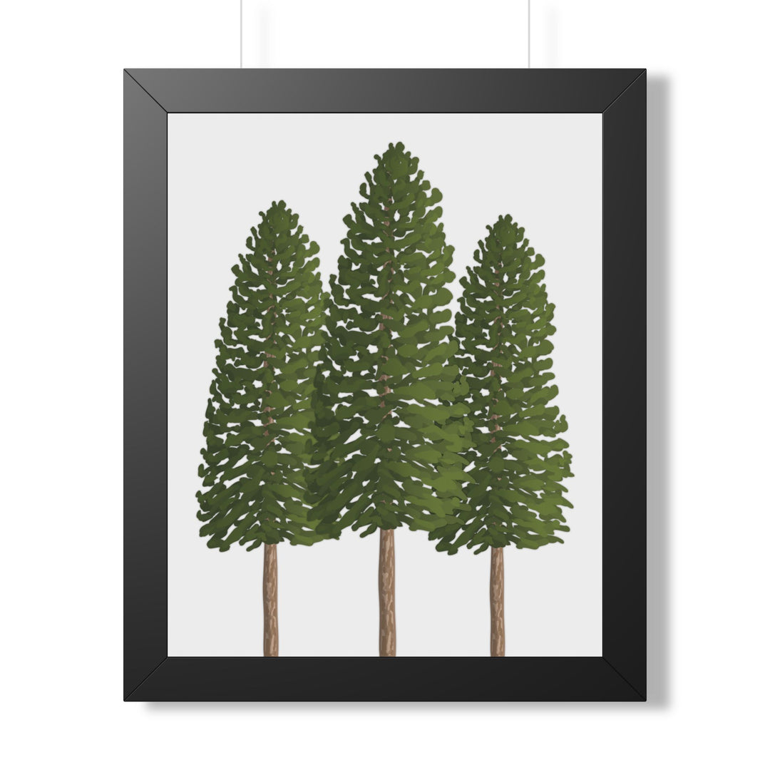 Ponderosa Pine Framed Print – Wall Art