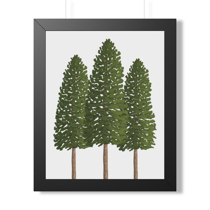 Ponderosa Pine Framed Print – Wall Art