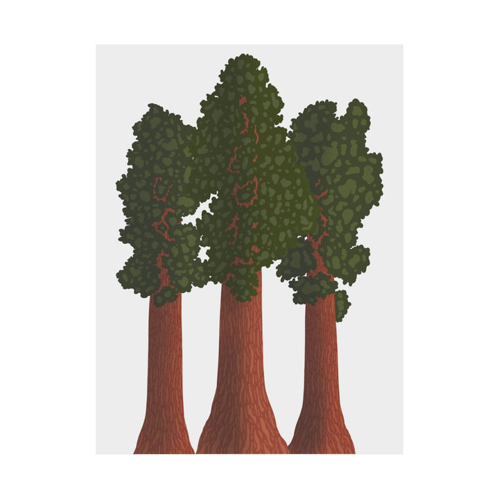 Giant Sequoias Print – Unframed Wall Art