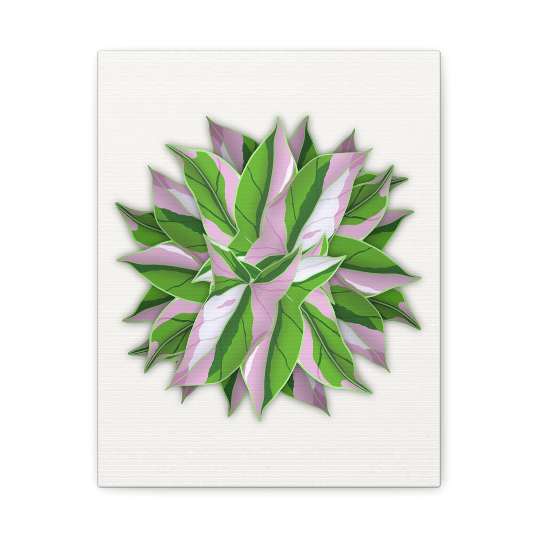 Syngonium Tricolor Canvas Print – Botanical Wall Art - The Potted Pixel