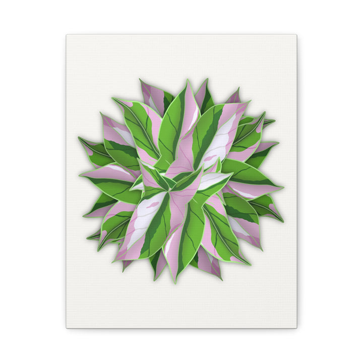 Syngonium Tricolor Canvas Print – Botanical Wall Art - The Potted Pixel