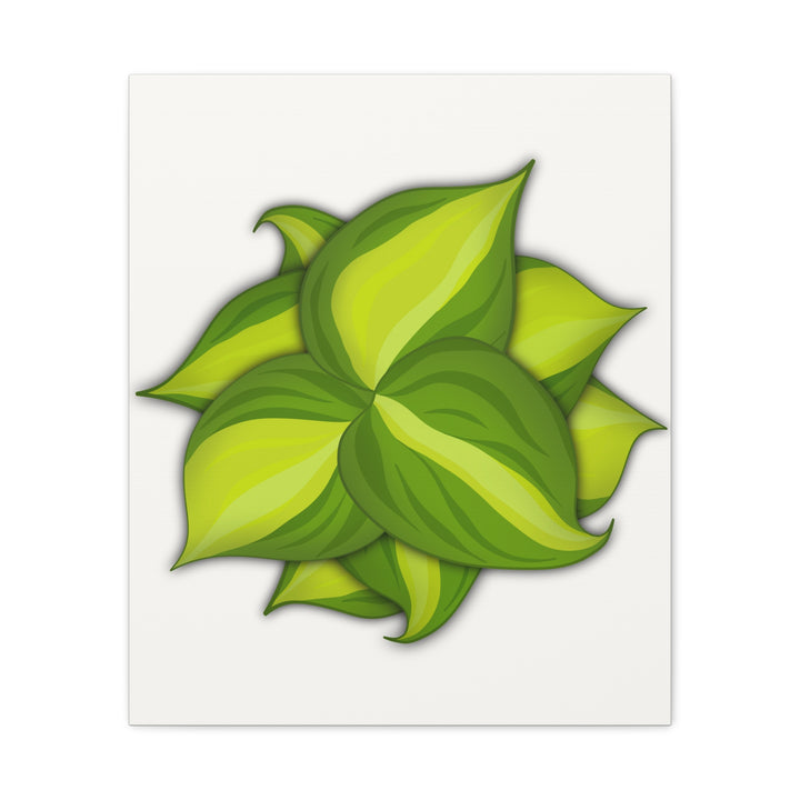 Philodendron Brasil Canvas Print Matte Stretched Canvas Indoor Plant Art For Modern Greenery Decor