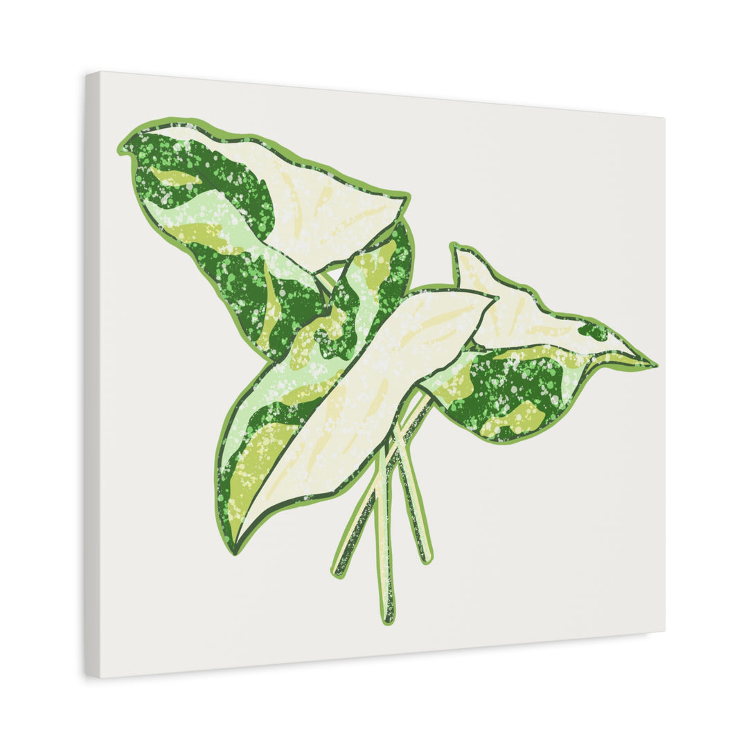 Marble Syngonium Canvas Botanical Wall Art Stretched Print On Durable Cotton Canvas Matte Finish