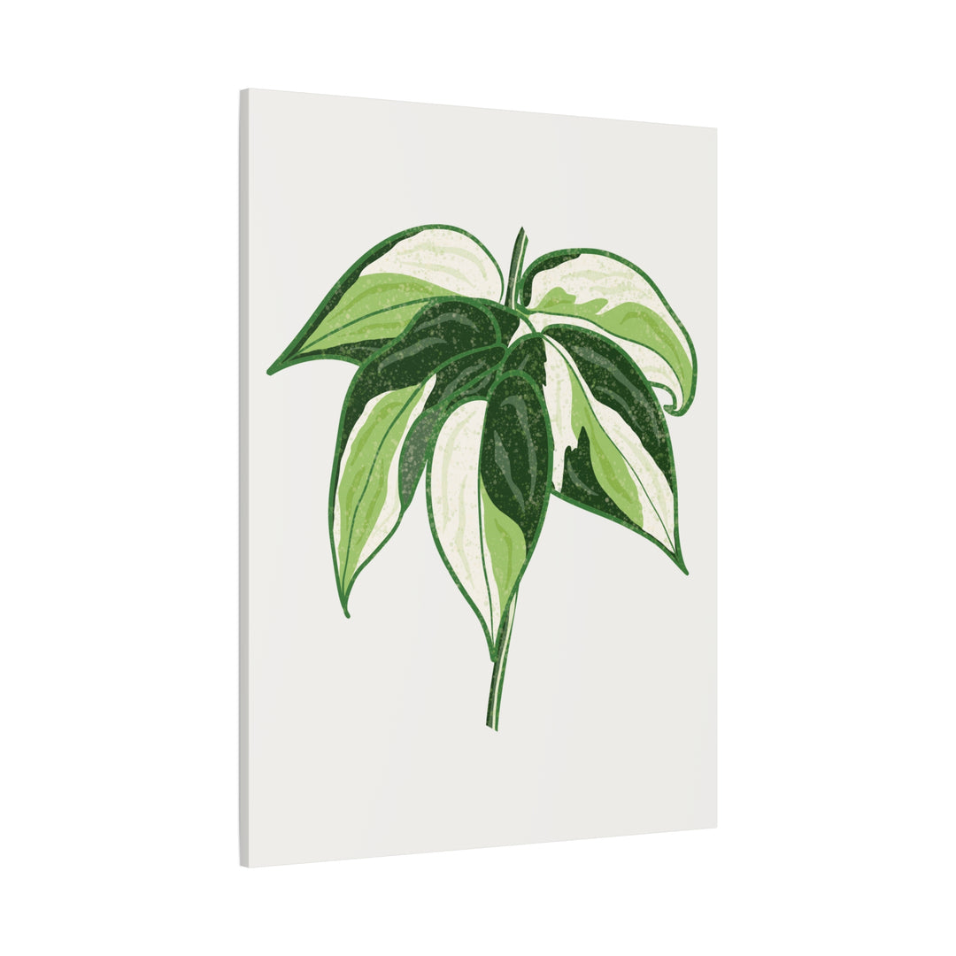 Philodendron Canvas Print Cream Splash Variegated Plant Art On Matte Cotton Canvas For Home Wall Decor