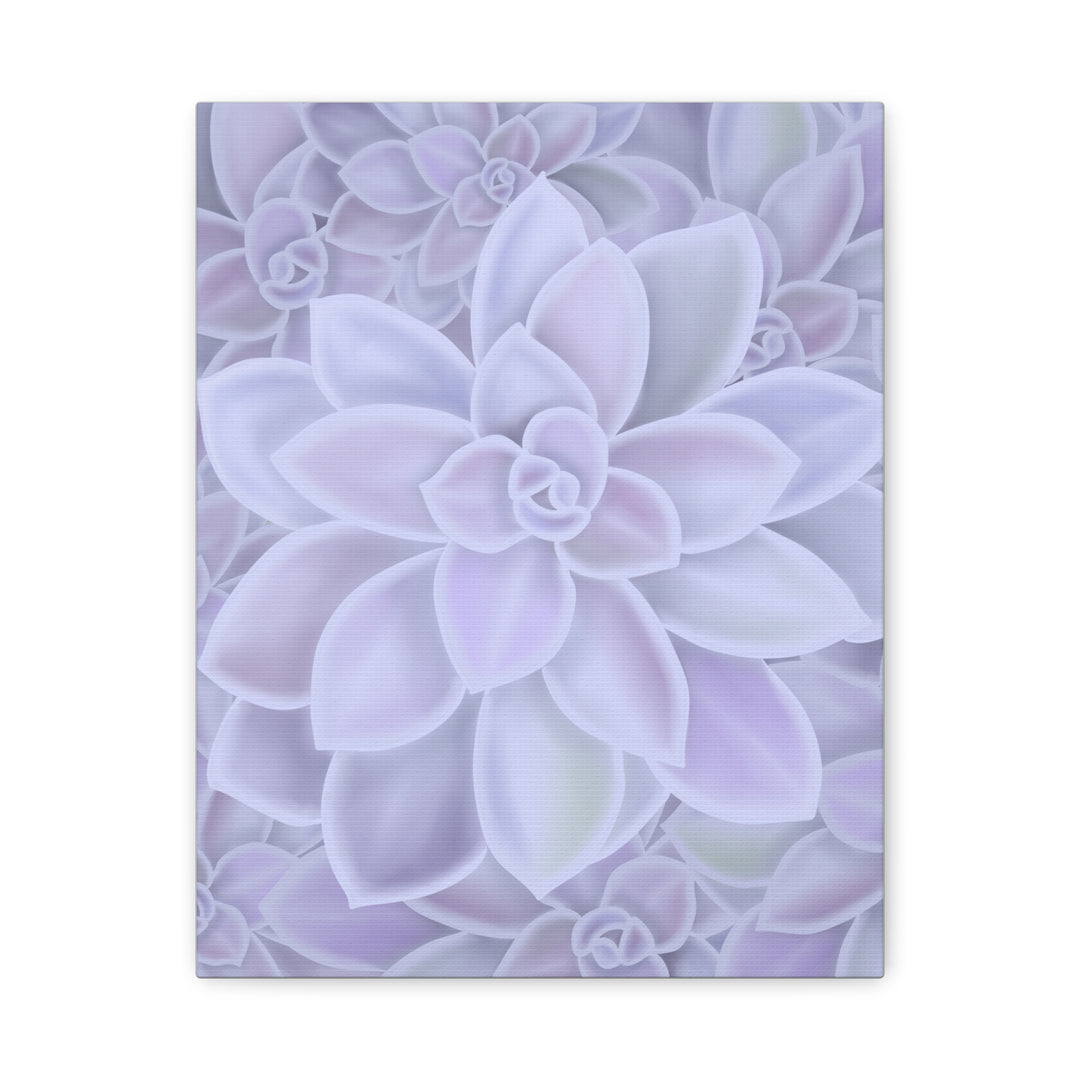 Graptopetalum Murasaki Succulent Canvas Art Print Pastel Purple Rosette Indoor Plant Decor