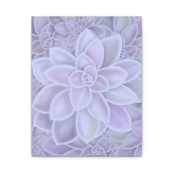 Graptopetalum Murasaki Succulent Canvas Art Print Pastel Purple Rosette Indoor Plant Decor