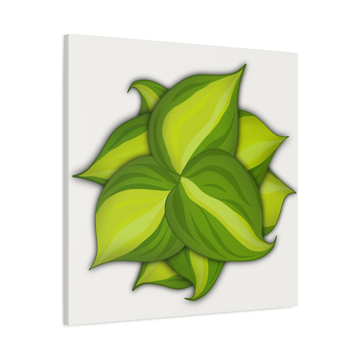 Philodendron Brasil Canvas Print Matte Stretched Canvas Indoor Plant Art For Modern Greenery Decor