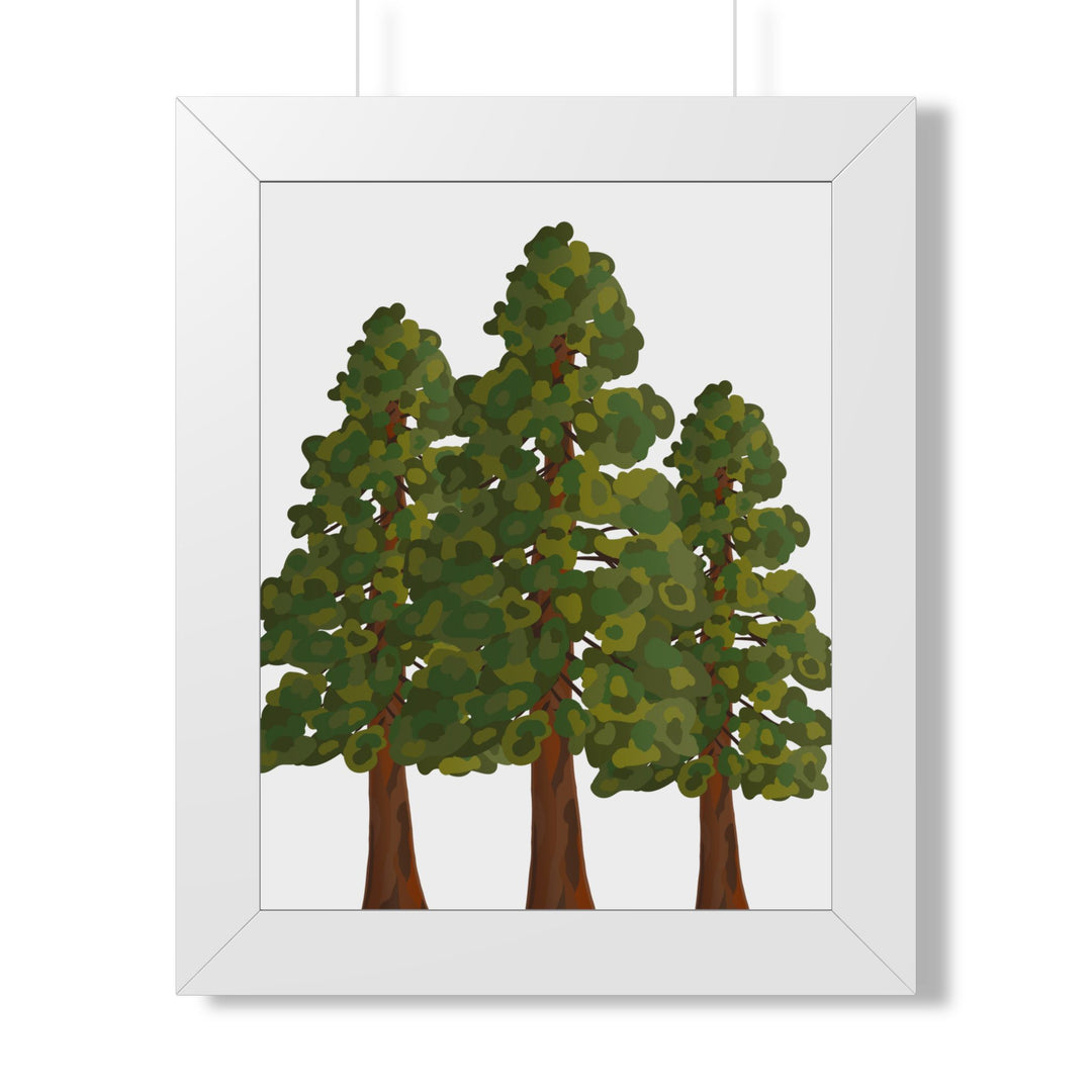 Coastal Redwood Framed Print – Wall Art