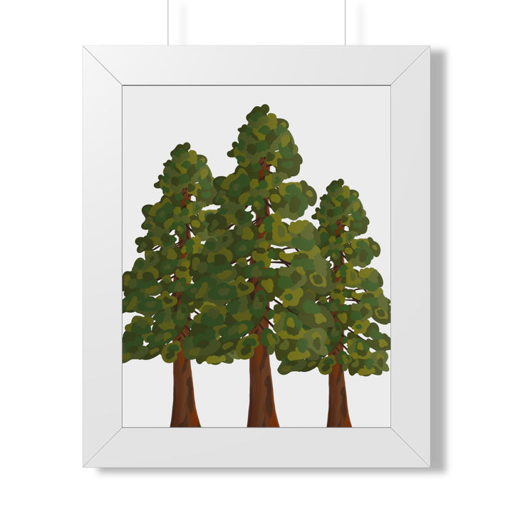 Coastal Redwood Framed Print – Wall Art