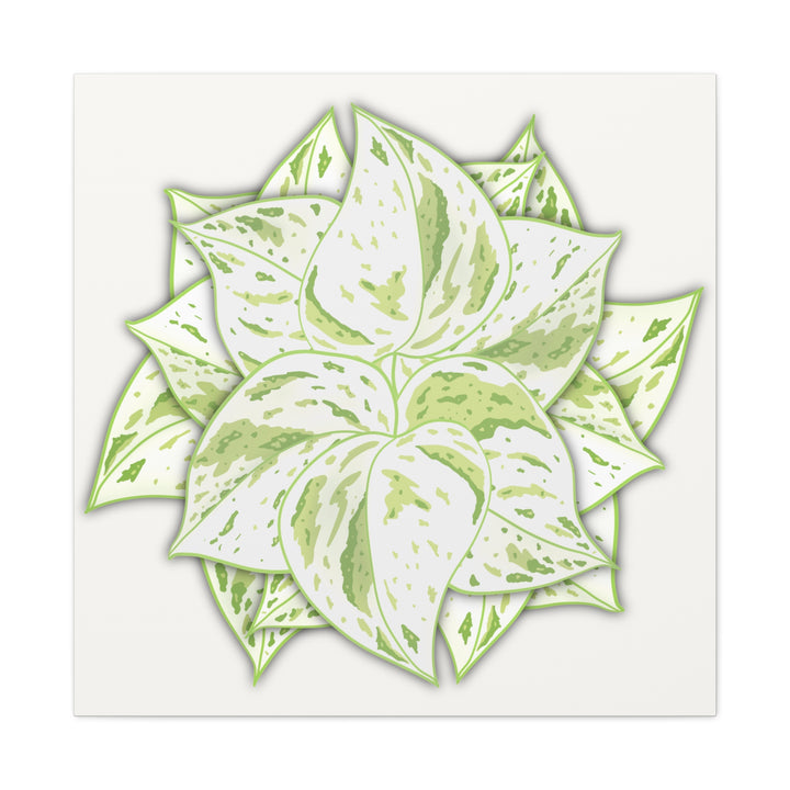 Snow Queen Pothos Canvas Wall Art Variegated Indoor Plant Leaf Poster Print Cotton Canvas