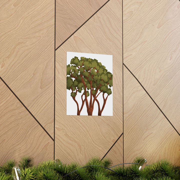 Pacific Madrone Print – Unframed Wall Art