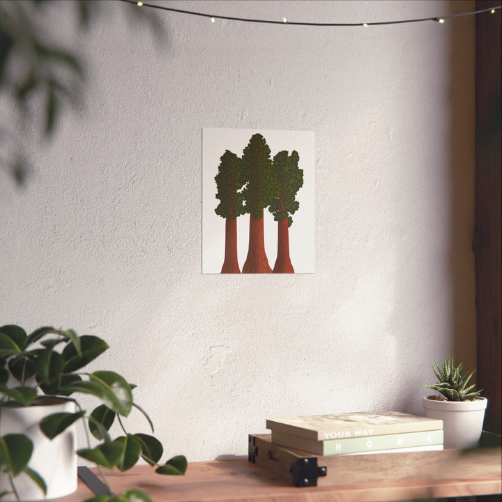 Giant Sequoias Print – Unframed Wall Art