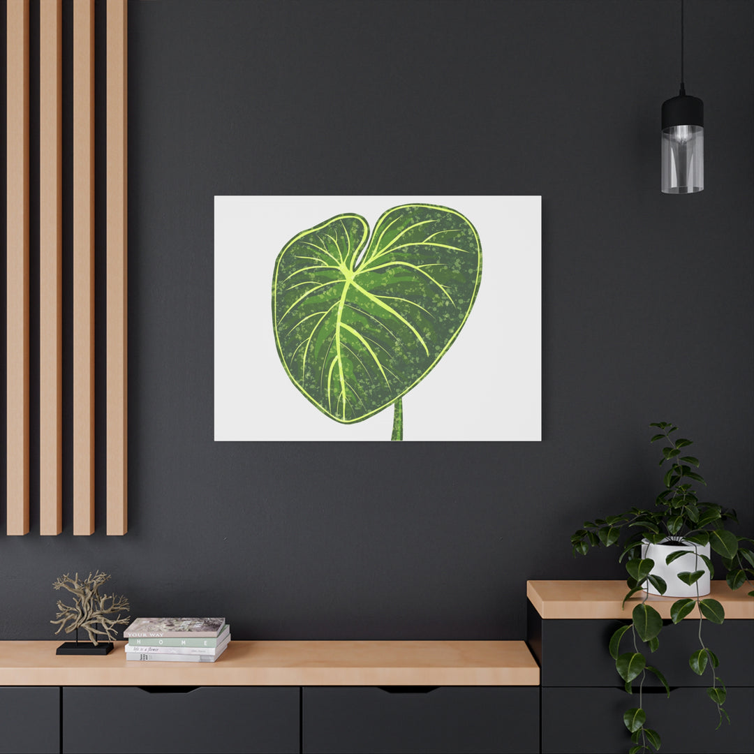 Philodendron Gloriosum Canvas Print Stretched Wall Art Botanical Leaf Print Matte Finish Gallery Wrapped Canvas