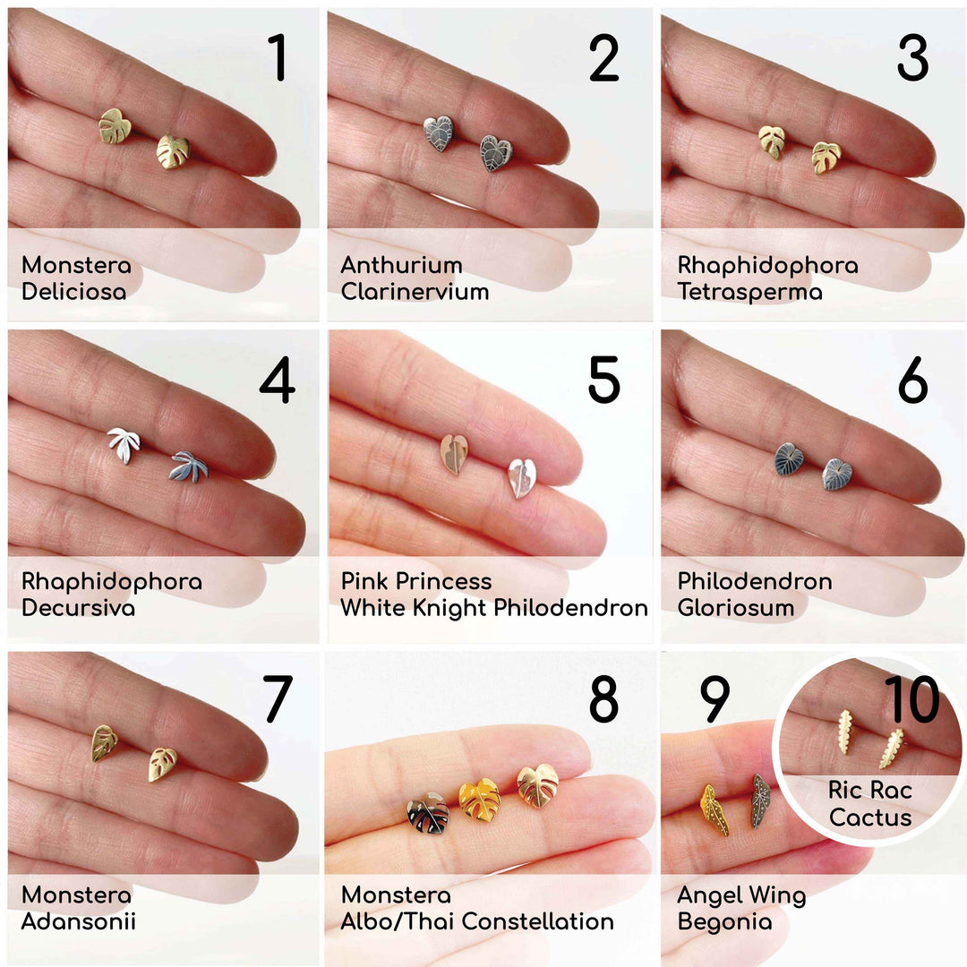 Custom Etched Propagation Stand + 3 Set Tiny Houseplant Earring Studs