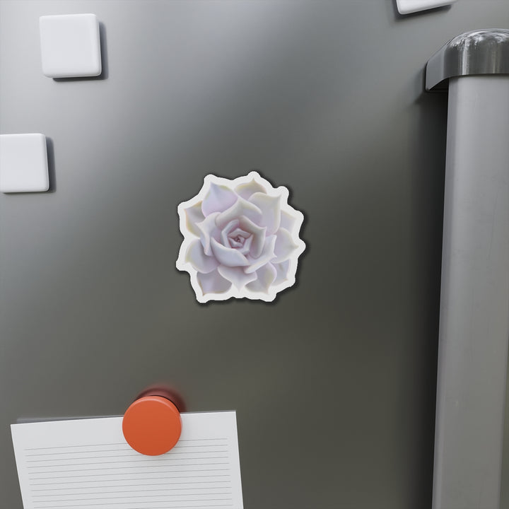 Echeveria Lilacina Succulent Magnet