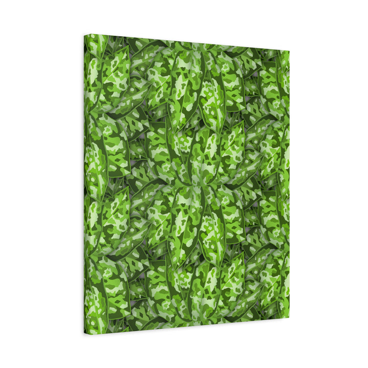 Aglaonema Pictum Canvas Wall Art Rare Plant Print Matte Finish For Modern Home Decor