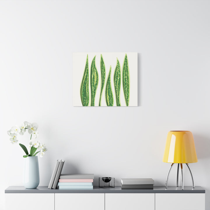 Snake Plant Canvas Print Matte 1.25 Inch Stretch Canvas Wall Art For Living Room Decor