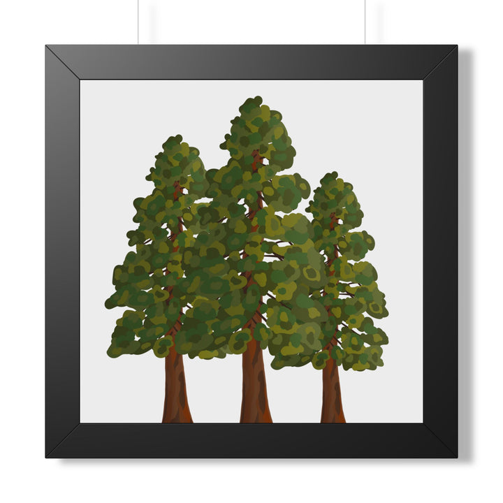 Coastal Redwood Framed Print – Wall Art