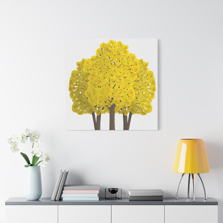 Big Leaf Maple Canvas Print – Wall Art