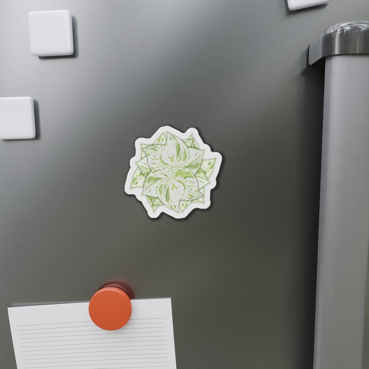 Snow Queen Pothos Magnet