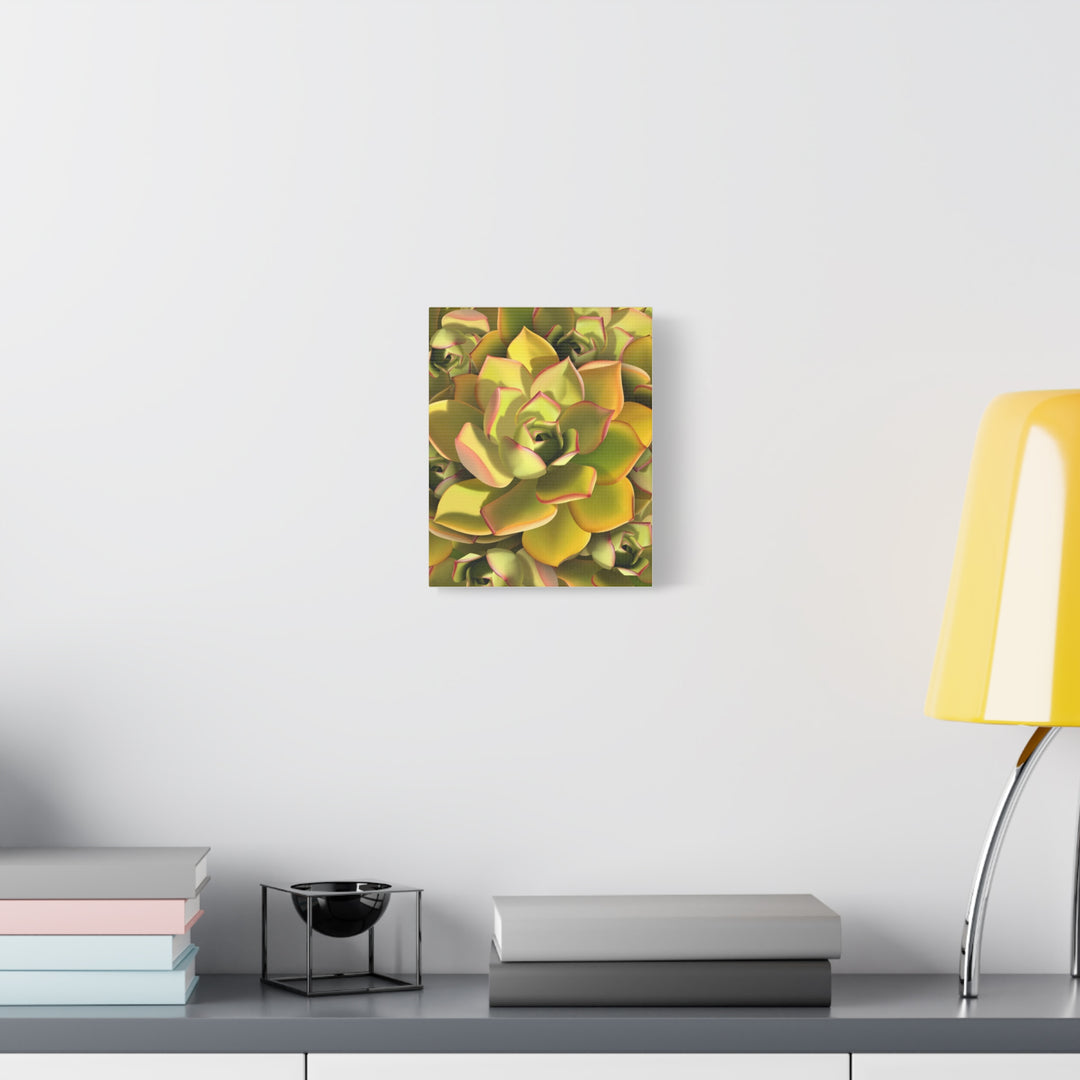 Succulent Canvas Art Vibrant Aeonium Print On Matte Canvas Wall Decor 12x18 Inches Indoor Home