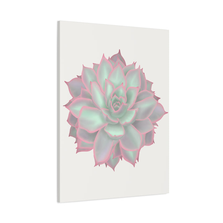 Echeveria Violet Queen Canvas Wall Art Rosette Succulent Print With Matte Finish