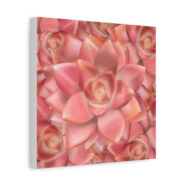 Graptosedum California Sunset Succulent Canvas Print – Botanical Wall Art - The Potted Pixel