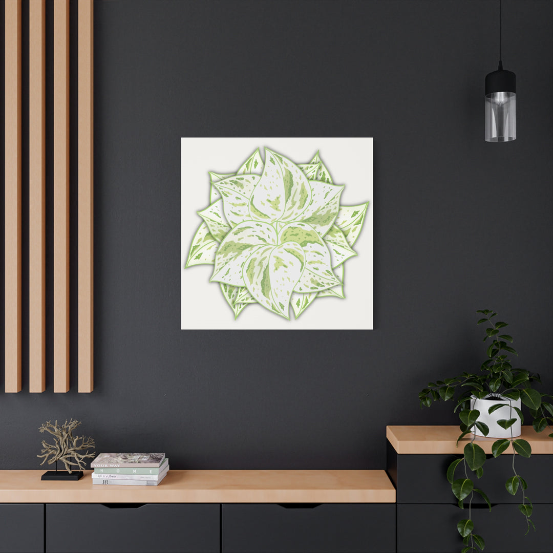 Snow Queen Pothos Canvas Wall Art Variegated Indoor Plant Leaf Poster Print Cotton Canvas