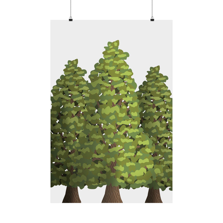 Incense Cedars Print – Unframed Wall Art