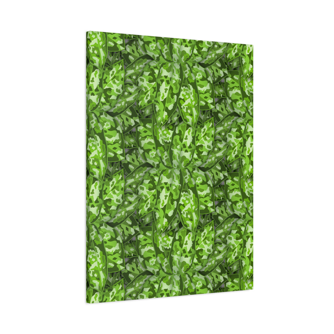 Aglaonema Pictum Canvas Wall Art Rare Plant Print Matte Finish For Modern Home Decor