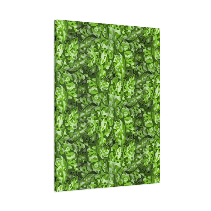 Aglaonema Pictum Canvas Wall Art Rare Plant Print Matte Finish For Modern Home Decor