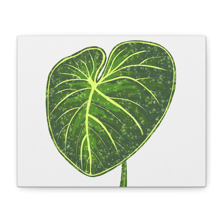 Philodendron Gloriosum Canvas Print Stretched Wall Art Botanical Leaf Print Matte Finish Gallery Wrapped Canvas