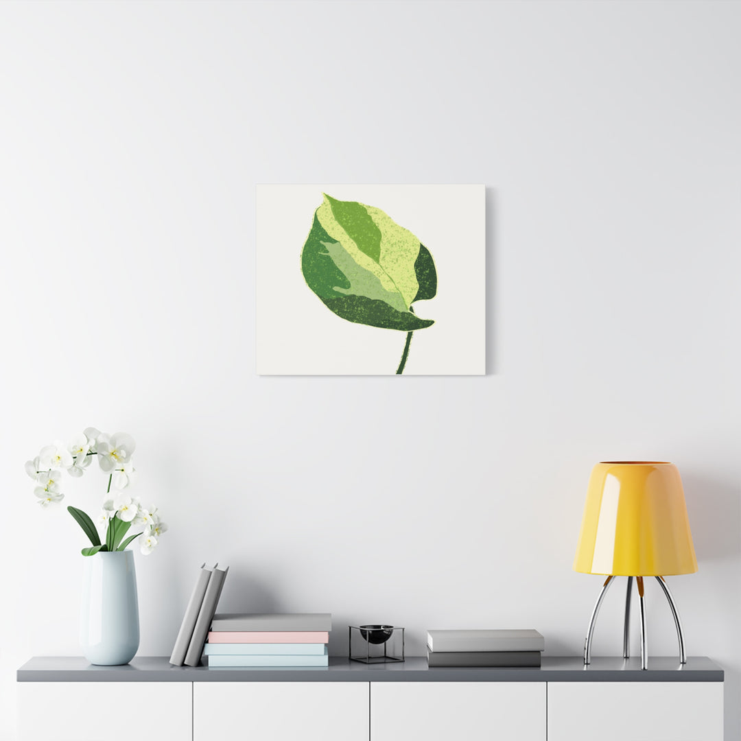 Manjula Pothos Botanical Canvas Print Matte Finish Stretched Canvas Wall Art 1.25 Inch Depth