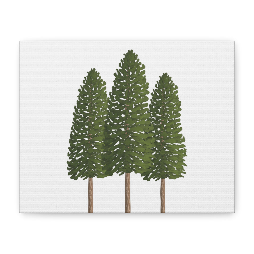 Three Ponderosa Pine Canvas Wall Art Matte Stretched Print Minimalist Forest Landscape Decor