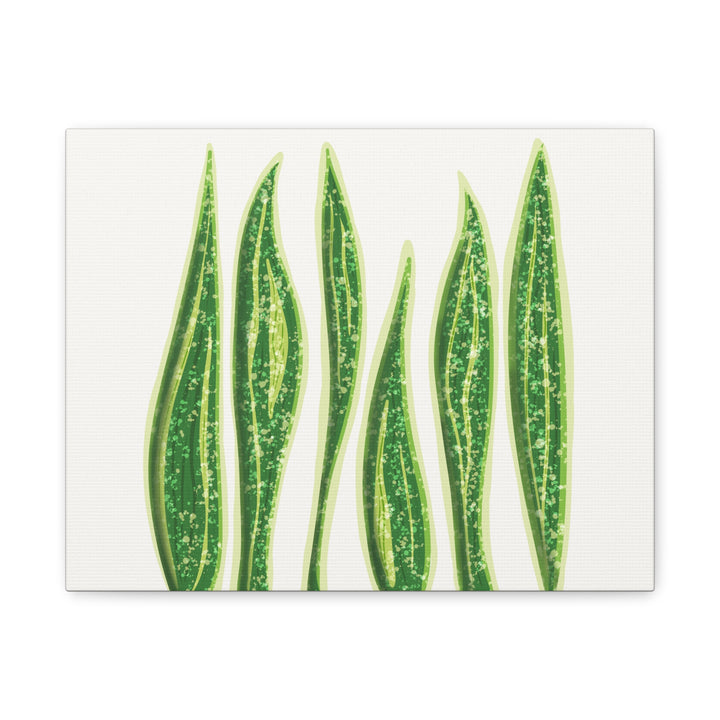 Snake Plant Canvas Print Matte 1.25 Inch Stretch Canvas Wall Art For Living Room Decor