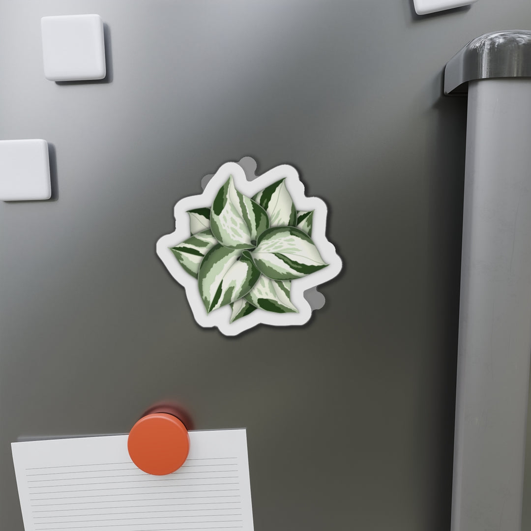 Manjula Pothos Magnet