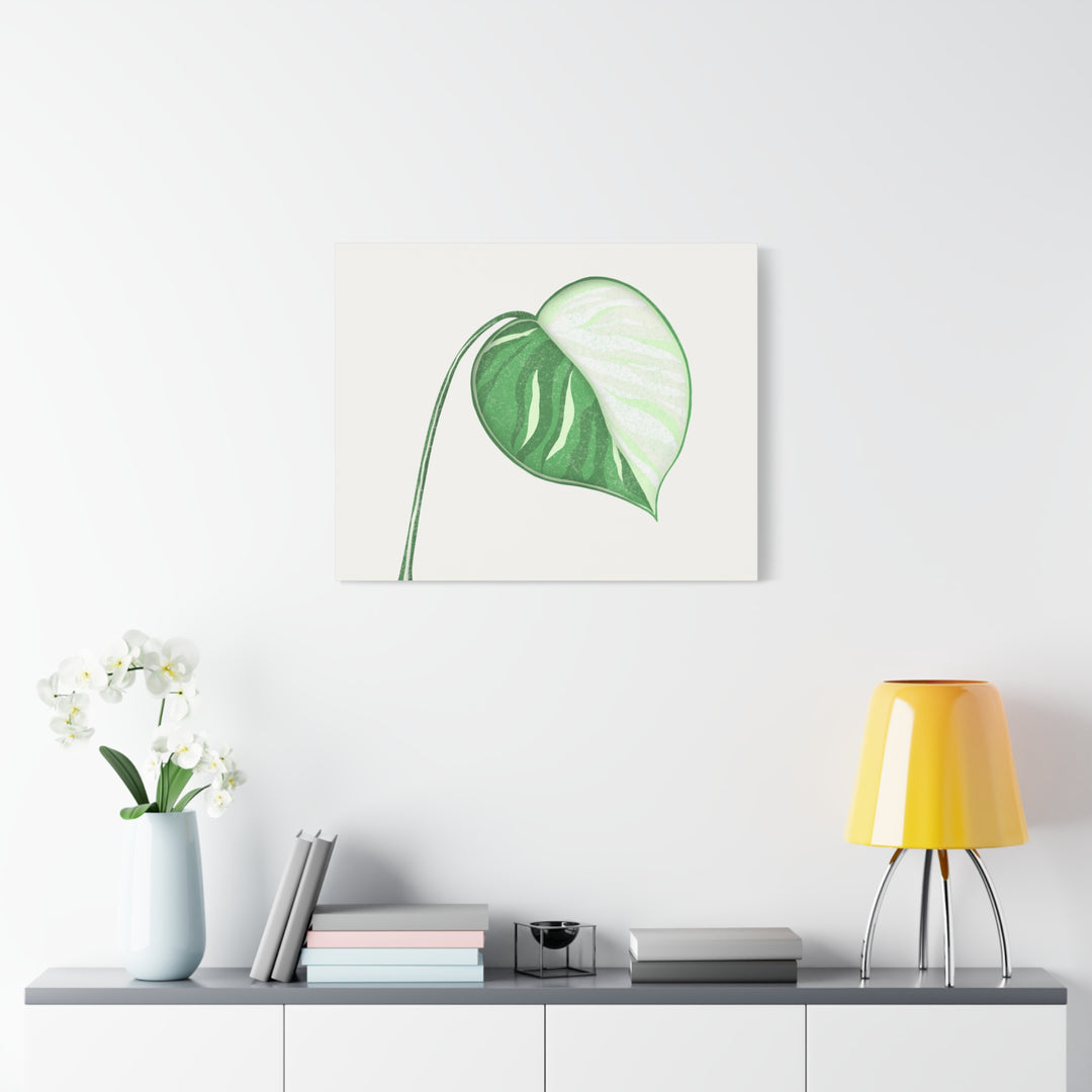 Monstera Albo Canvas Large Stretched Premium Quality Cotton Canvas Wall Art Tropical Leaf Poster Decor