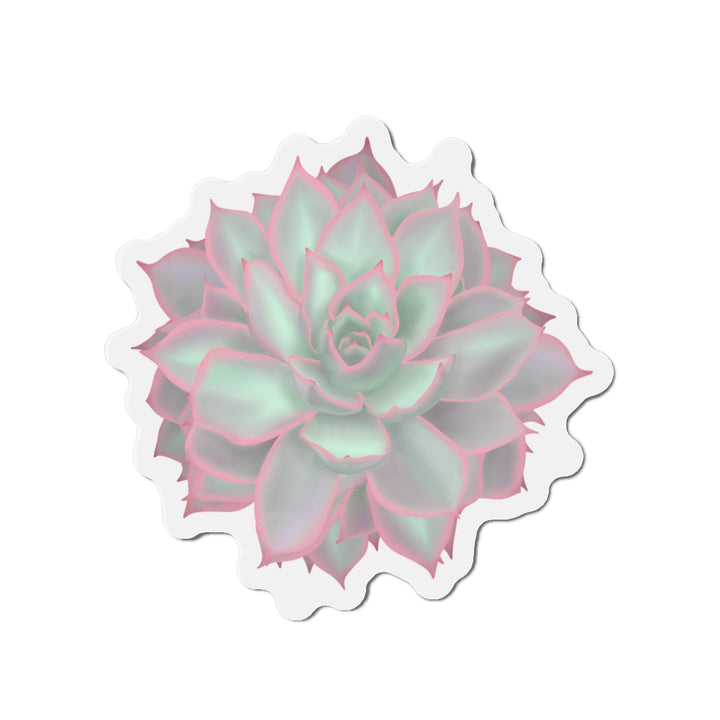 Echeveria Violet Queen Succulent Magnet