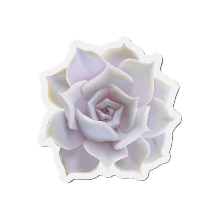 Echeveria Lilacina Succulent Magnet