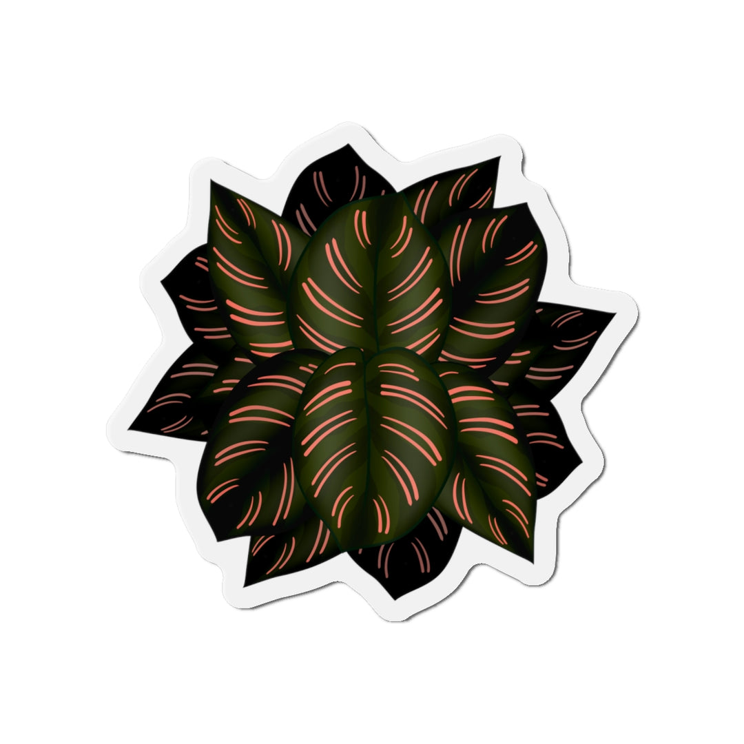 Calathea Pinstripe Magnet